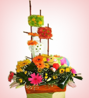 Florcitas