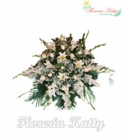 CONDOLENCIA CD3