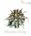 CONDOLENCIA CD3